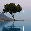 The Anchorage Villa Apartments (Karavados - Cefalonia)