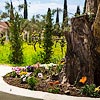 Cypress Garden Villas (Svoronata - Cefalonia)