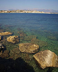 Kounopetra