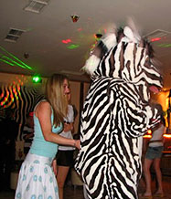 Zebra Bar Cefalonia